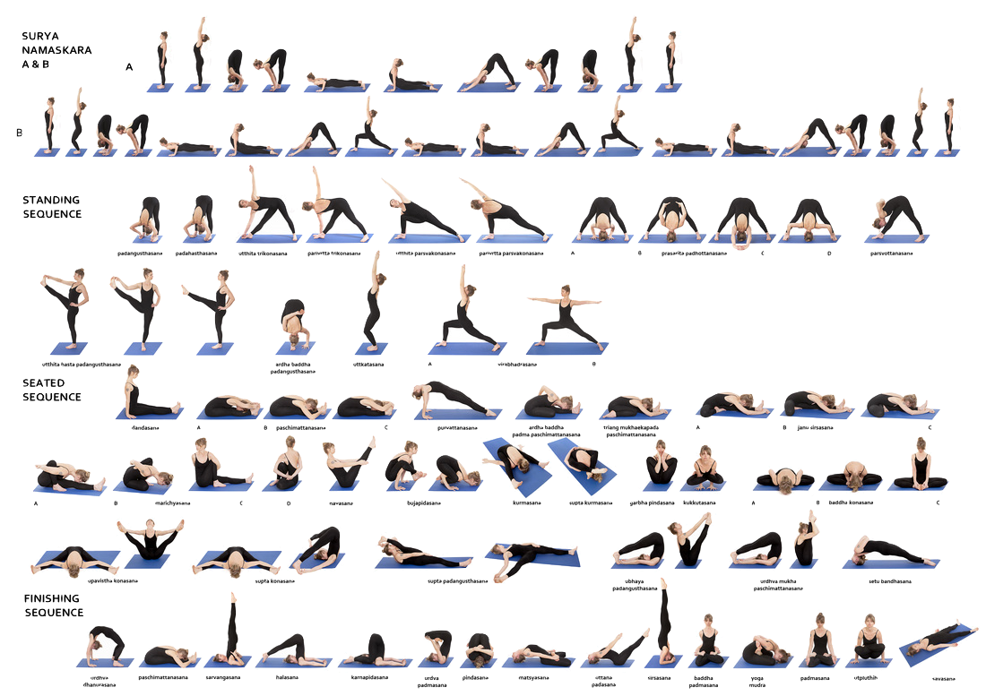 Types de yoga : Ashtanga. Illustration de la première série de l'Ashtanga yoga