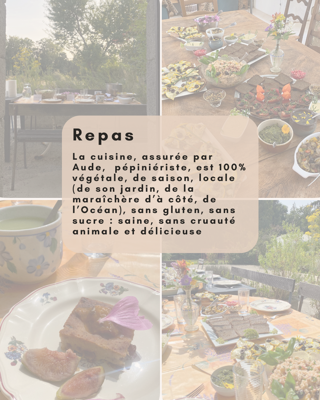 retraite de yoga en bretagne