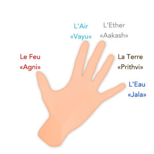 Illustration de la main et de ses associations avec les éléments : le pouce avec le feu, l'index avec l'air, le majeur avec l'éther, l'annulaire avec la terre et l'auriculaire avec l'eau