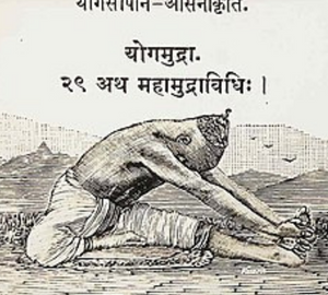 Hatha yoga