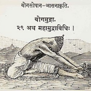 Hatha yoga